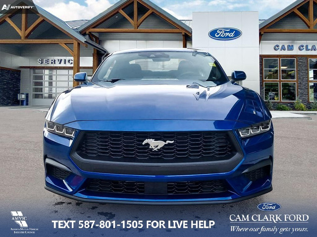 2024 Ford Mustang EcoBoost in Cars & Trucks in Banff / Canmore - Image 2