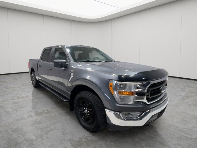 2022 Ford F-150 XLT - CLEAN CARFAX - ONE OWNER in Cars & Trucks in Strathcona County - Image 2