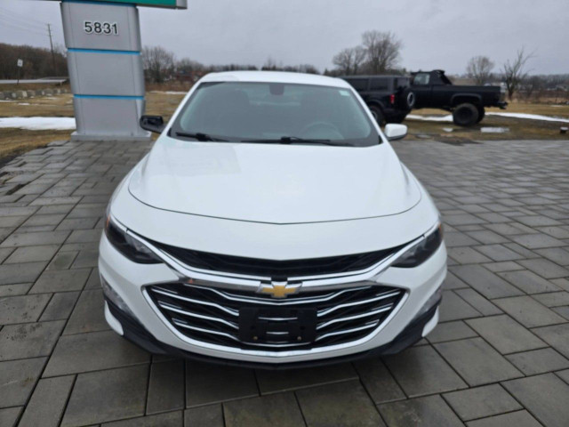 2019 Chevrolet Malibu in Cars & Trucks in Ottawa - Image 2