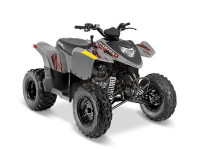 2024 Polaris Phoenix 200 Avalanche Grey