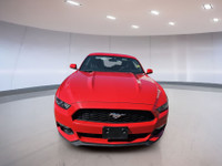 Experience the thrill of the open road in this stunning red Mustang, where power meets elegance. The... (image 3)