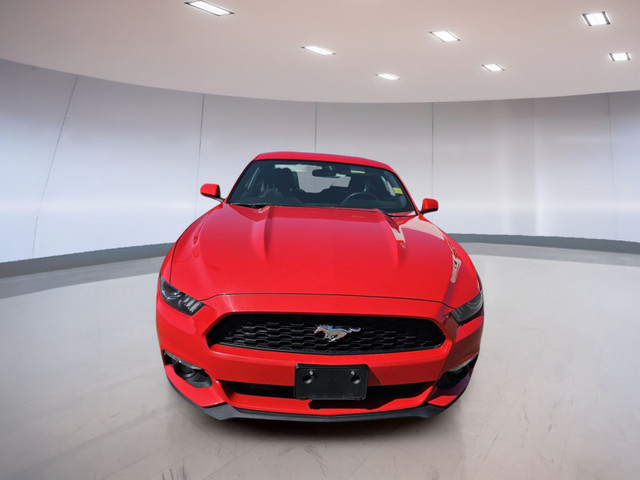 Ford Mustang V6 2017 in Cars & Trucks in Medicine Hat - Image 4