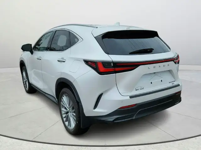 2024 Lexus NX 350h Accident Free Hybrid Luxury Package Financing in Cars & Trucks in Ottawa - Image 4