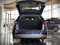 Comes equipped with: Power Mirrors, Halogen Headlamps, Courtesy lights, LED Headlights, LED Daytime... (image 6)