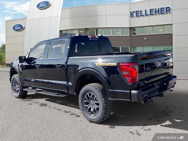 2025 Ford F-150 Tremor in Cars & Trucks in Brandon - Image 3