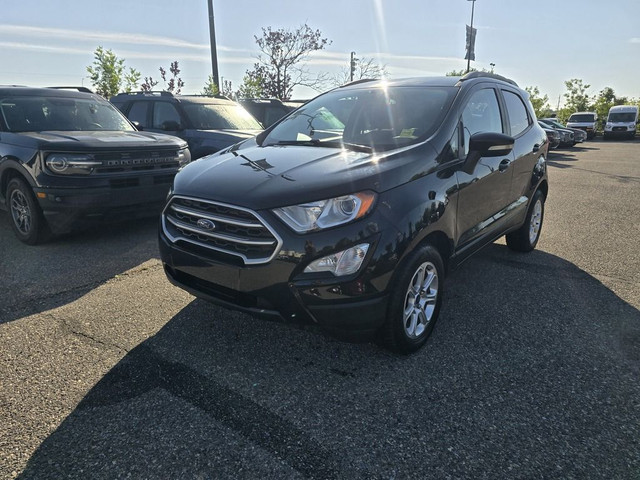 2019 Ford EcoSport SE 4WD in Cars & Trucks in Calgary - Image 3