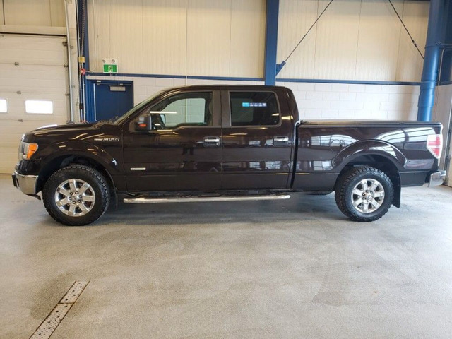  2014 Ford F-150 301A W/ XTR PACKAGE in Cars & Trucks in Moose Jaw - Image 3