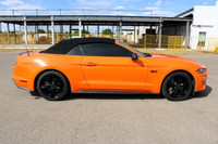 Every pre-owned vehicle from Big M Ford Lincoln comes with a full inspection, a free car proof vehic... (image 5)