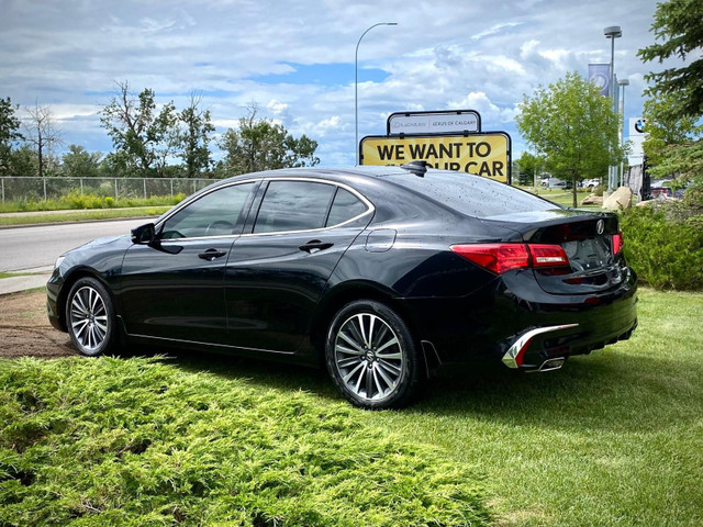 2020 Acura TLX Tech in Cars & Trucks in Calgary - Image 4