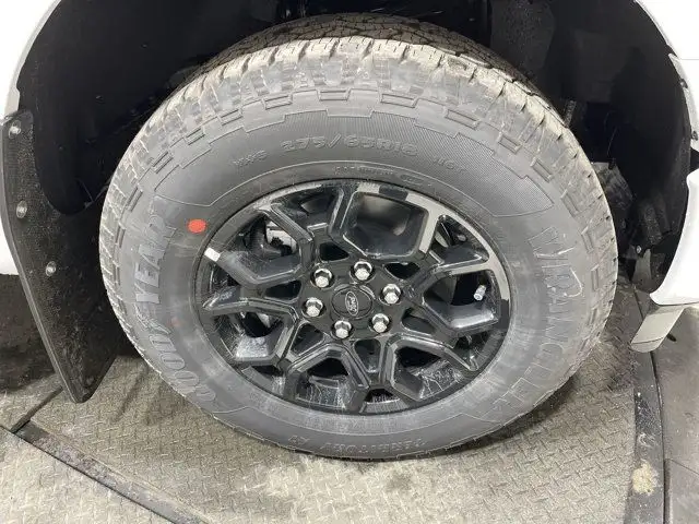 2025 Ford F-150 XLT in Cars & Trucks in Strathcona County - Image 12