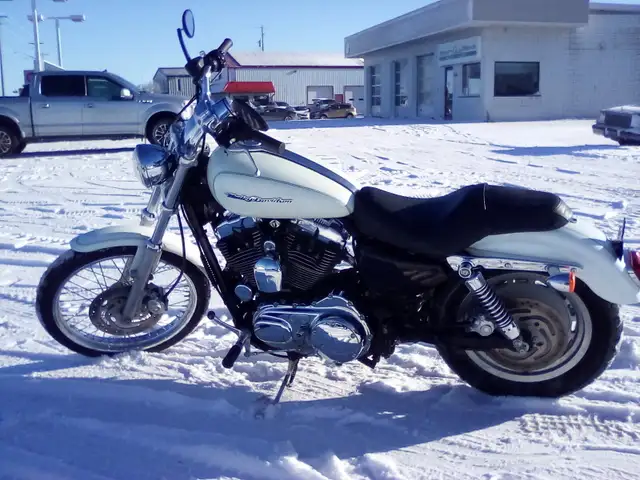 2005 Hd Sp XL1200 in Cars & Trucks in Winnipeg - Image 4