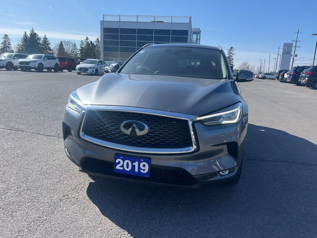  2019 Infiniti QX50 LUXE AWD in Cars & Trucks in Kingston - Image 3