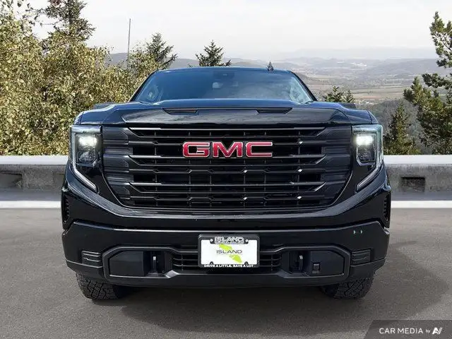 2025 GMC Sierra 1500 Pro in Cars & Trucks in Cowichan Valley / Duncan - Image 10