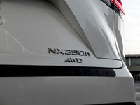 Visit our dealership to explore the recent trade-in of the 2022 LEXUS NX 350h. This exceptional vehi... (image 7)