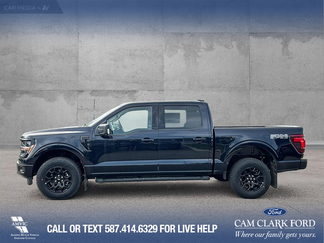 2025 Ford F-150 XLT in Cars & Trucks in Calgary - Image 4