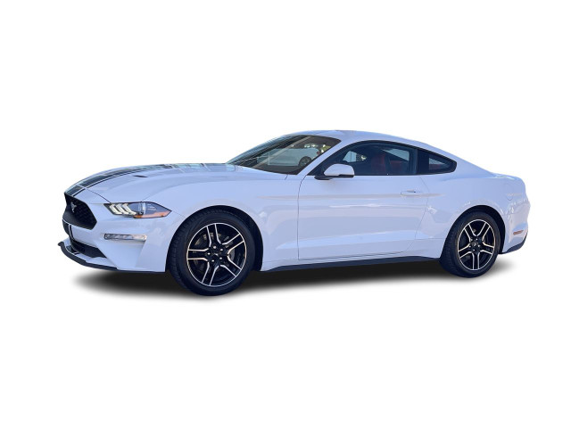 2023 Ford Mustang in Cars & Trucks in Calgary - Image 4