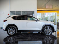 Comes equipped with: Power Trunk, Power Mirrors, Sunroof , Shark fin antenna, Halogen Headlamps, Cou... (image 3)