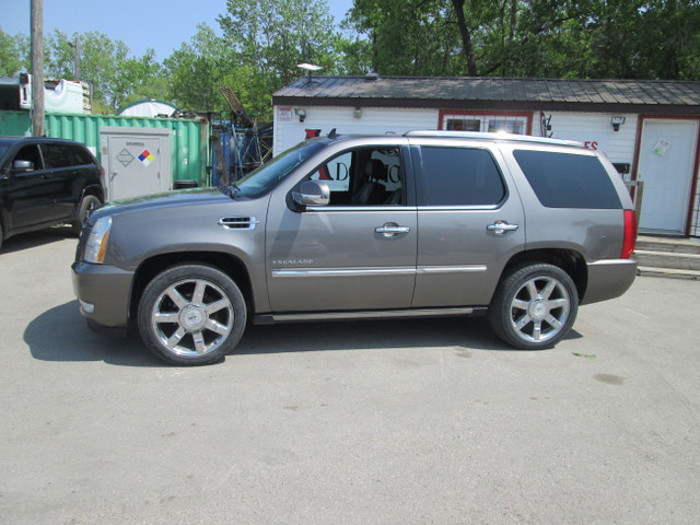 2012 Cadillac Escalade AWD Luxury in Cars & Trucks in Winnipeg - Image 3