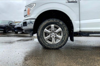 3.5l Eco-boost. This Super Crew Is The Perfect Truck To Get You To And From Work Or Adventure. 3.5 L... (image 4)