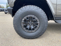 With its unquestioned toughness and durability, the 2025 Bronco is back to carry outdoor enthusiasts... (image 3)