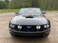 Experience the perfect blend of performance and bold design with this 2009 Ford Mustang GT Convertib... (image 8)