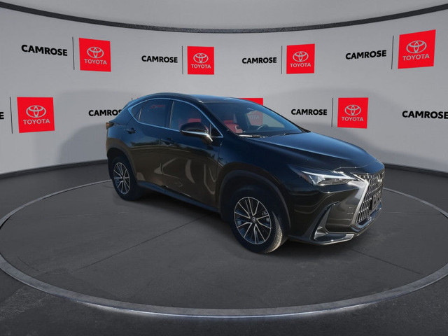2024 Lexus NX 350 in Cars & Trucks in Edmonton - Image 2