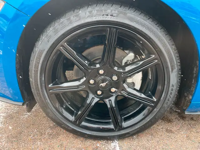 2019 Ford Mustang EcoBoost Premium Heated Seats, Backup Camera in Cars & Trucks in Charlottetown - Image 11