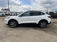 **WE WILL BEAT ANY FORD DEALER IN THE CITY** Get ready to turn heads and elevate your drive with the... (image 3)