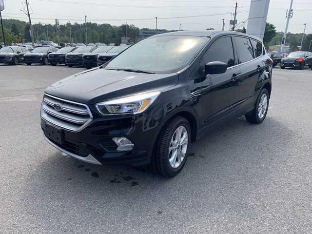 2019 Ford Escape SE FWD - Heated Seats - Android Auto in Cars & Trucks in Kawartha Lakes