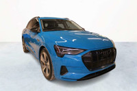 2019 Audi e-tron TECHNIK QUATTRO //BL