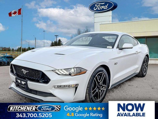 2021 Ford Mustang GT in Cars & Trucks in Kitchener / Waterloo