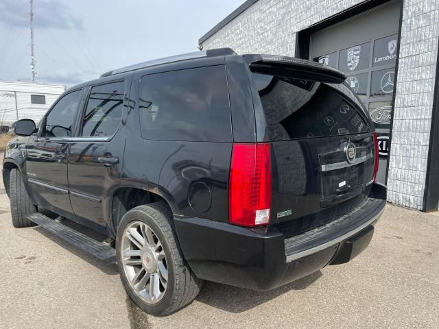 2012 Cadillac Escalade PREMIUM AWD // CLEAN CARFAX //AS-IS SPECI in Cars & Trucks in Guelph - Image 3
