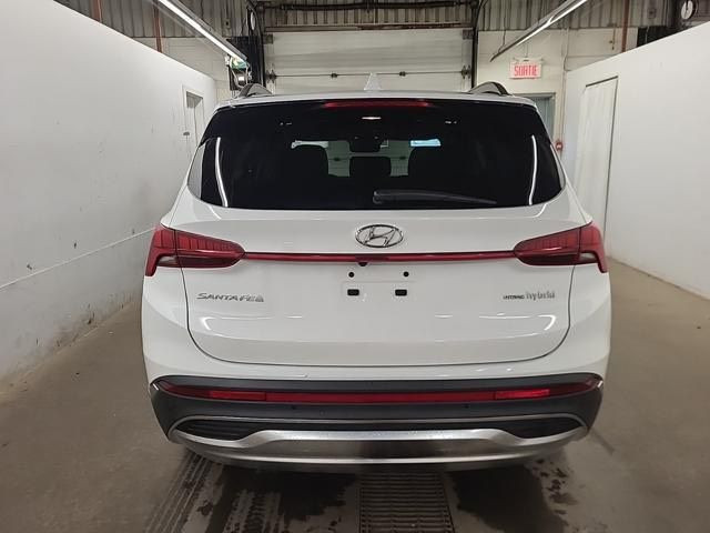 2023 Hyundai Santa Fe Plug-In Hybrid Luxury Fresh Trade! Leather in Cars & Trucks in Regina - Image 4