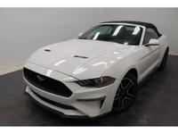 +Apple Carplay +Android Auto +Bluetooth +Caméra de recul / Backup camera +Régulateur de vitesse / Cr... (image 1)