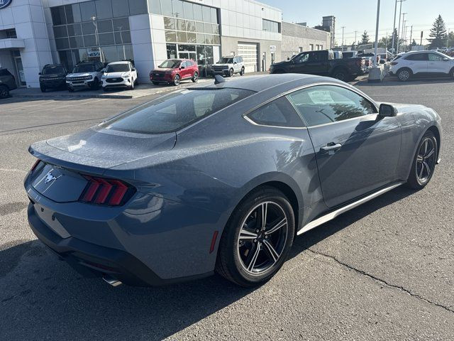 2025 Ford Mustang EcoBoost FASTBACK in Cars & Trucks in Calgary - Image 3