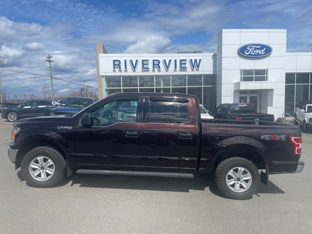  2020 Ford F-150 XLT in Cars & Trucks in Fredericton - Image 2