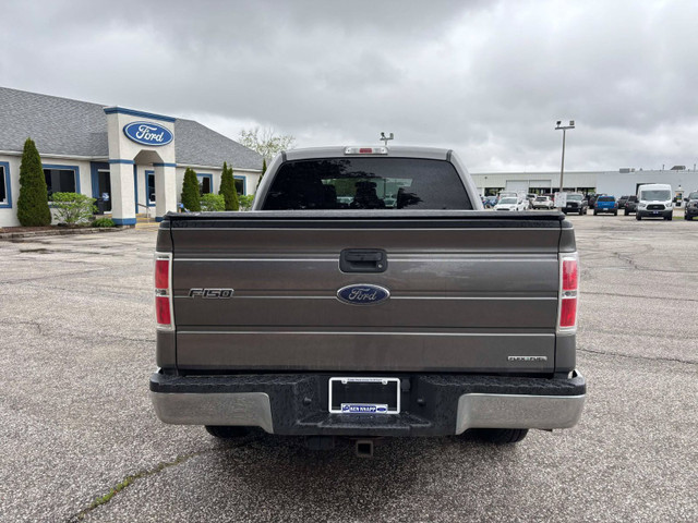 2013 Ford F-150 XLT | Low KM's | ONE OWNER | in Cars & Trucks in Windsor Region - Image 4