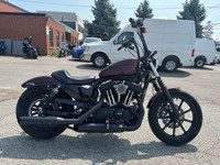  2019 Harley-Davidson Iron 1200 ~ IRON 1200 ~ LOW MILES ~ COOL B