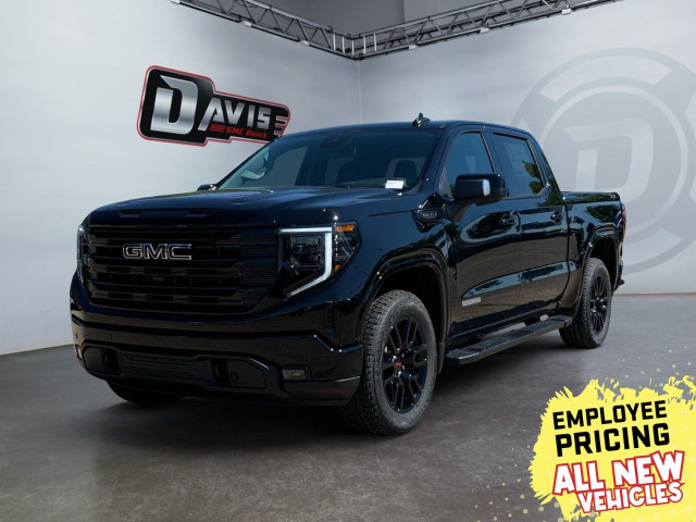 2025 GMC Sierra 1500 in Cars & Trucks in Hamilton