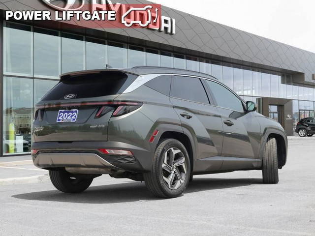 2022 Hyundai Tucson Hybrid Luxury - Cooled Seats in Cars & Trucks in Ottawa - Image 3