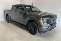 FUTURE FORD is a well-established dealership in the SASKATCHEWAN region. We carry premium new and us... (image 1)