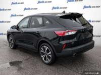 WAS: $33879 NOW: $24498 plus taxes and licensing feesDiscover the 2022 Ford Escape SE Hybrid: A Perf... (image 3)