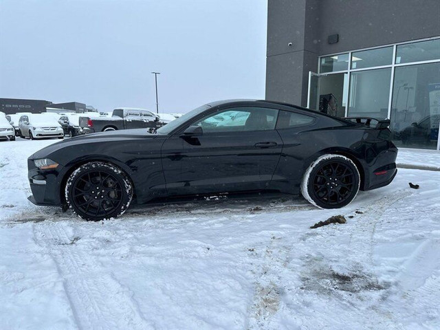 2018 Ford Mustang EcoBoost in Cars & Trucks in St. Albert - Image 2