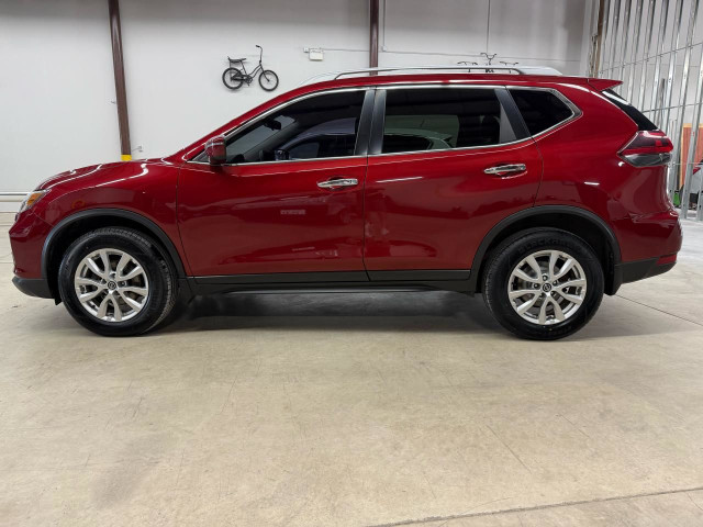 2019 Nissan Rogue SV in Cars & Trucks in Owen Sound - Image 3