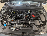 **PENDING** Purchased New, Serviced, and Traded at Wheaton Honda West! No Accidents, One Previous Ow... (image 8)