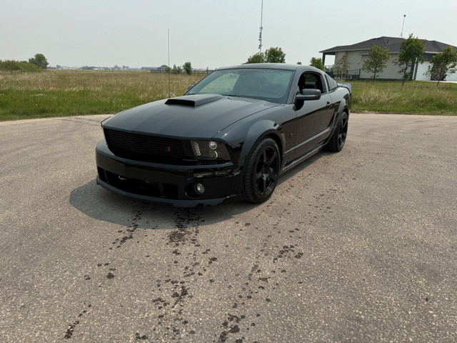 2008 Ford Mustang GT Roush Stage 3 Blackjack Edition  in Cars & Trucks in Winnipeg - Image 3