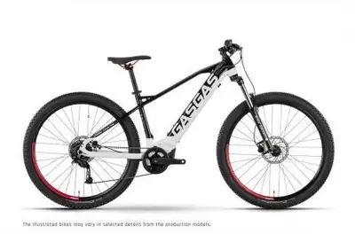 Engine Type: Yamaha PW-ST, 250 W, 70 Nm Battery: Simplo, 630 Wh, 36 V Charger: Simplo rapid charger,...