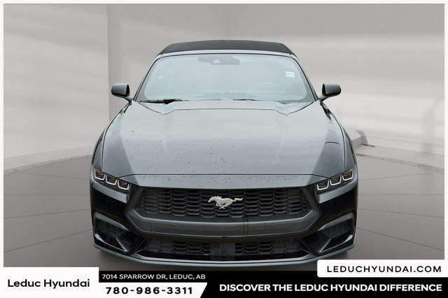 2024 Ford Mustang EcoBoost (315 hp, 350 lb-ft torque), in Cars & Trucks in Edmonton - Image 2