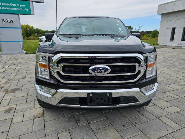 2021 Ford F-150 in Cars & Trucks in Ottawa - Image 2