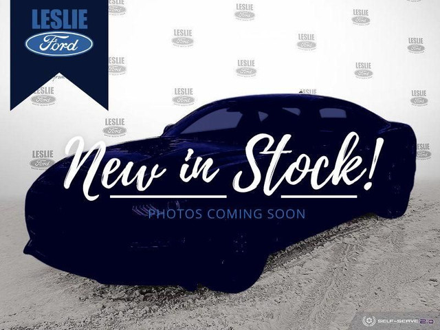 2019 Ford Mustang EcoBoost Fastback in Cars & Trucks in Stratford - Image 3